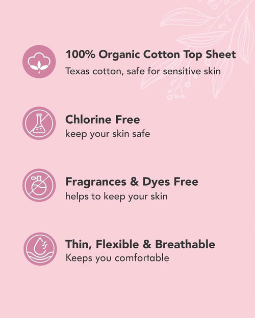 Long Organic Cotton Panty Liners
