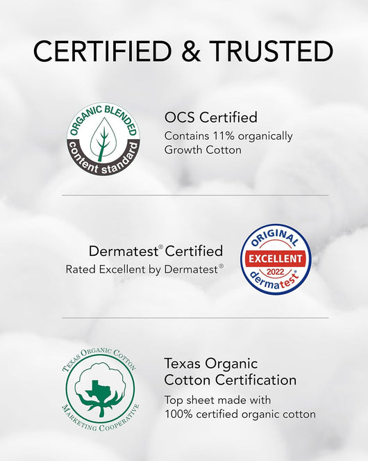 Organic Cotton Panty Liners